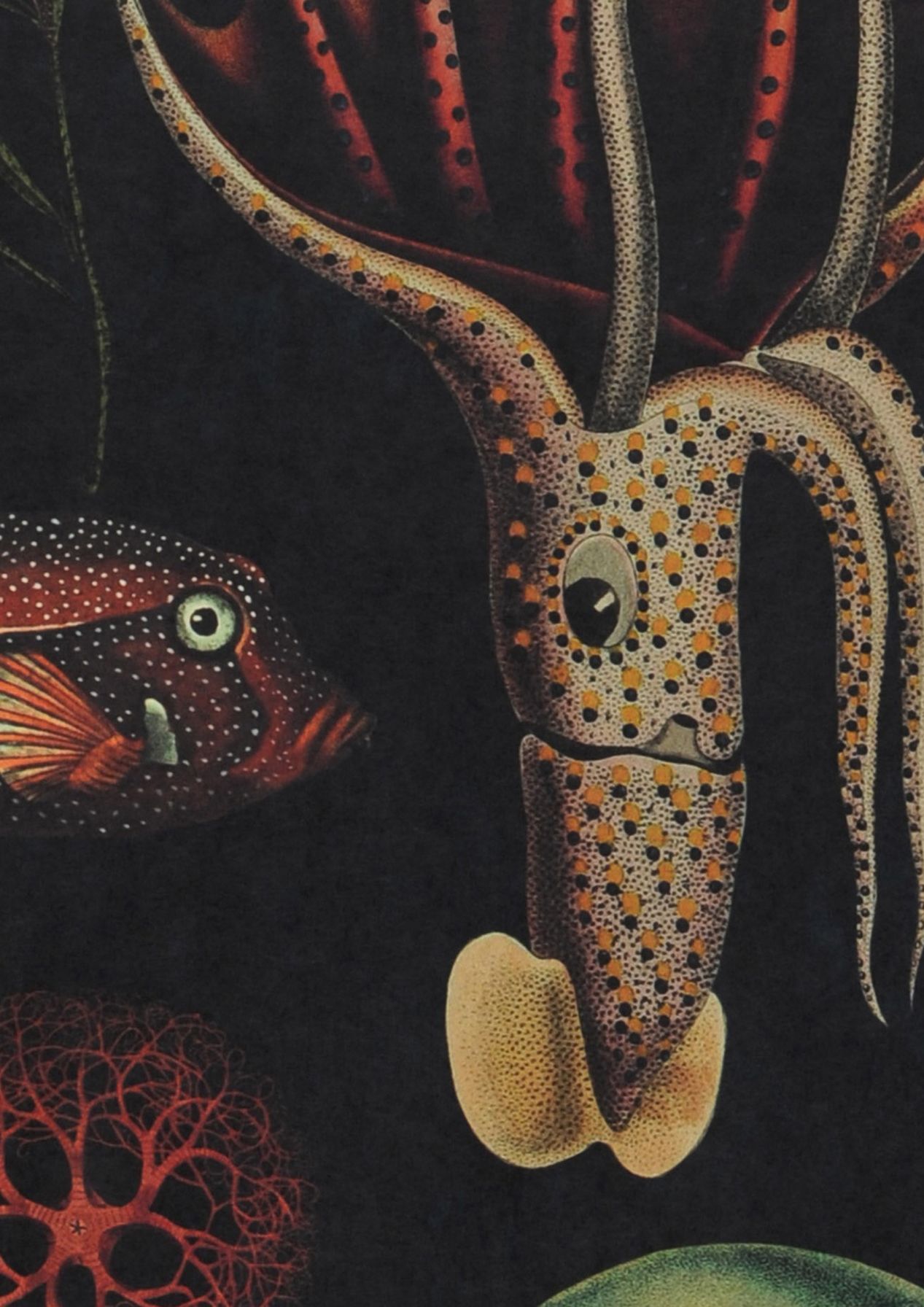 Oceania