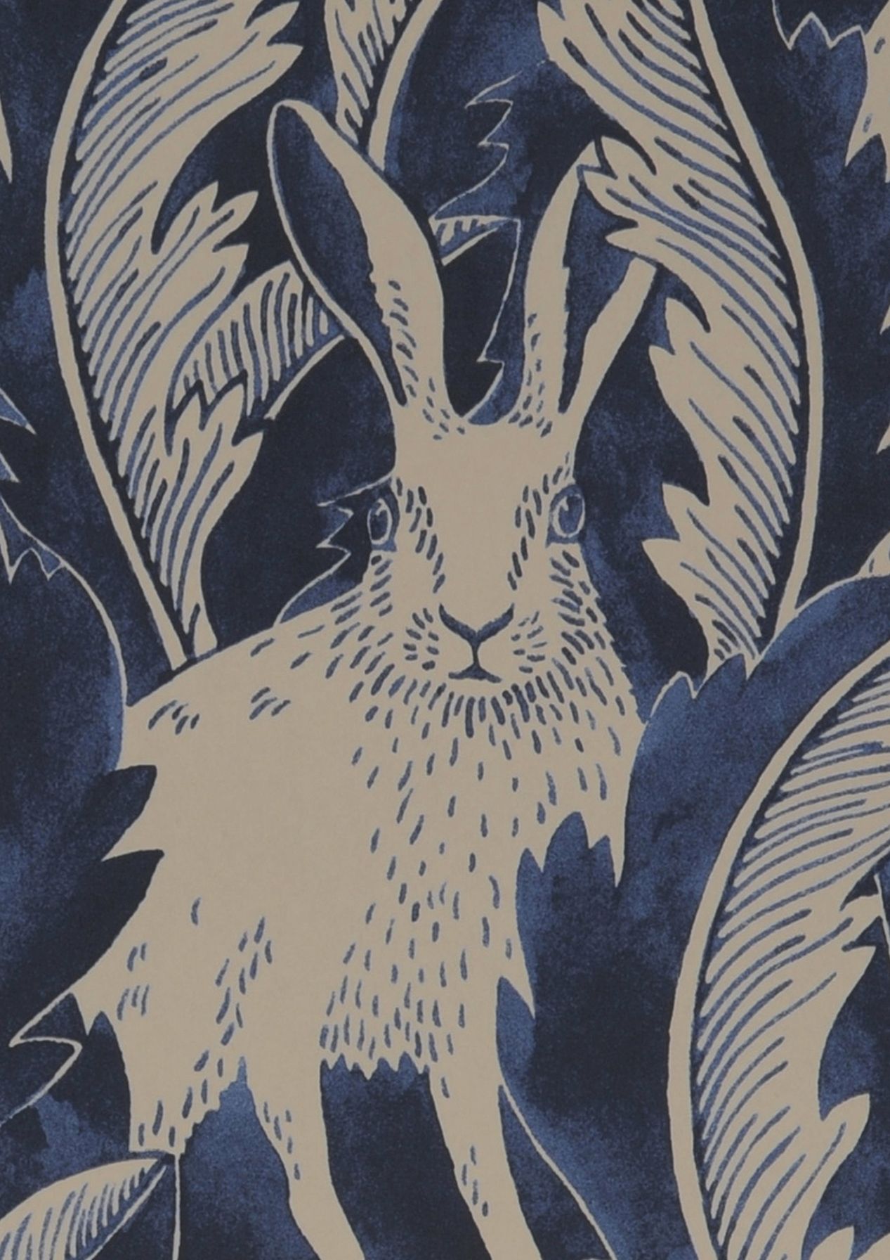 Hares in Hiding