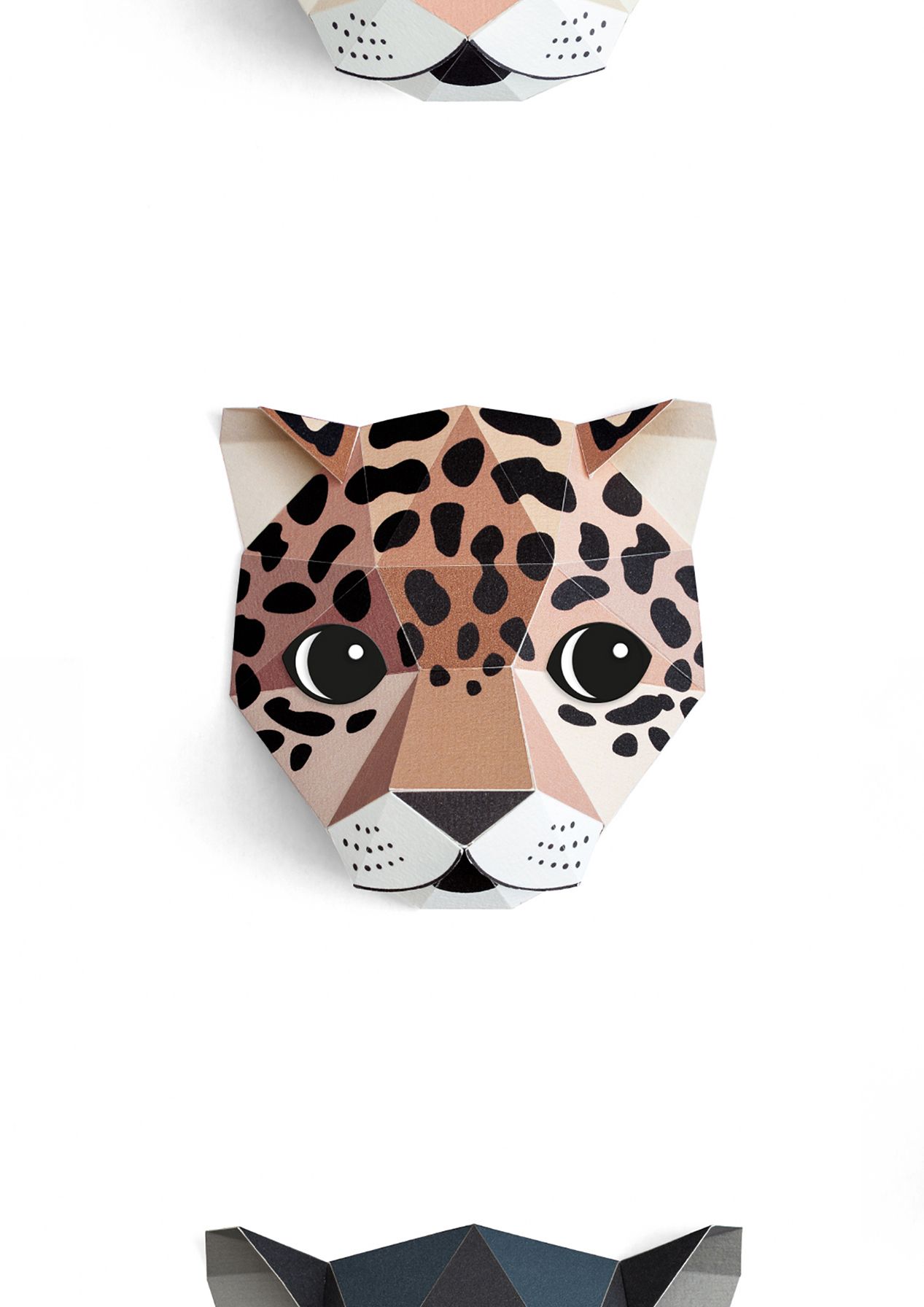 Panthera 01