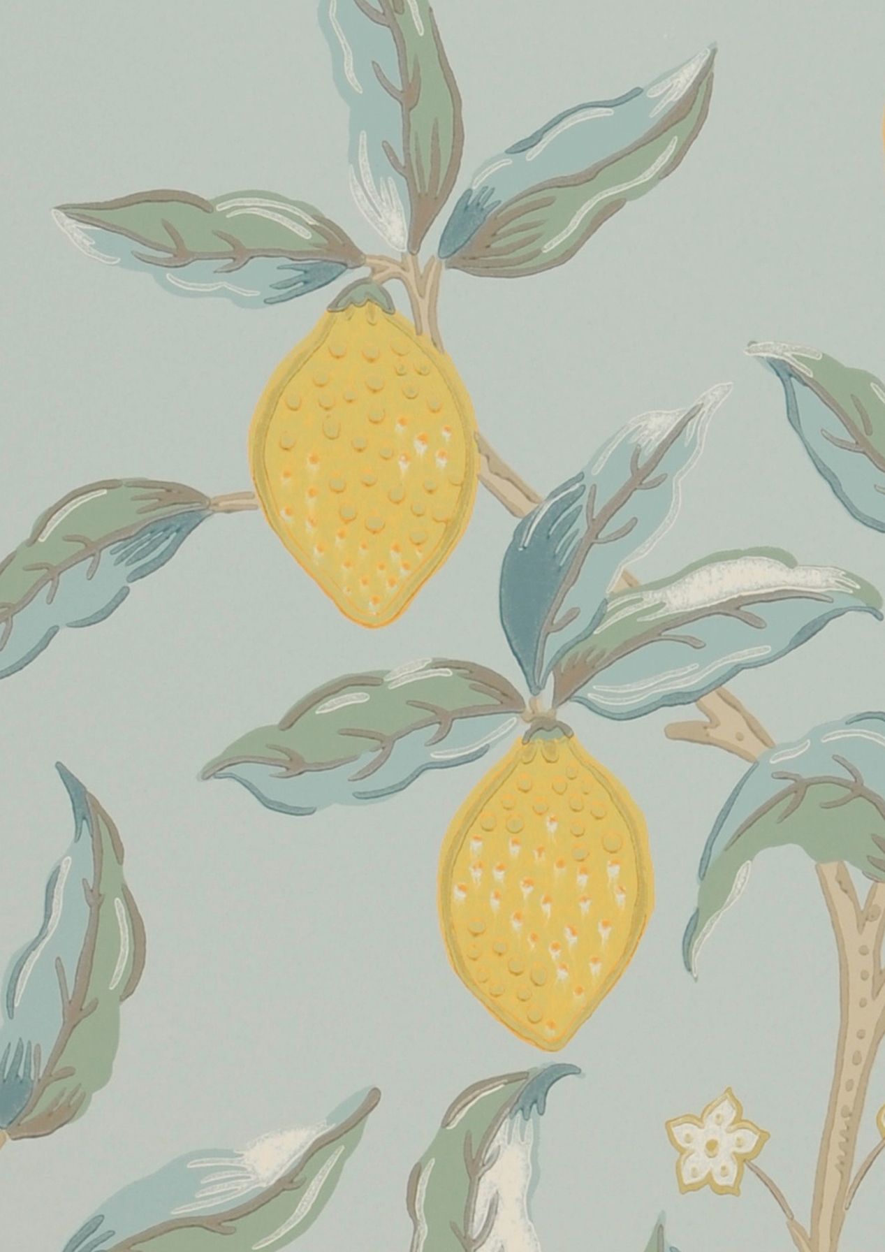 Lemon Tree