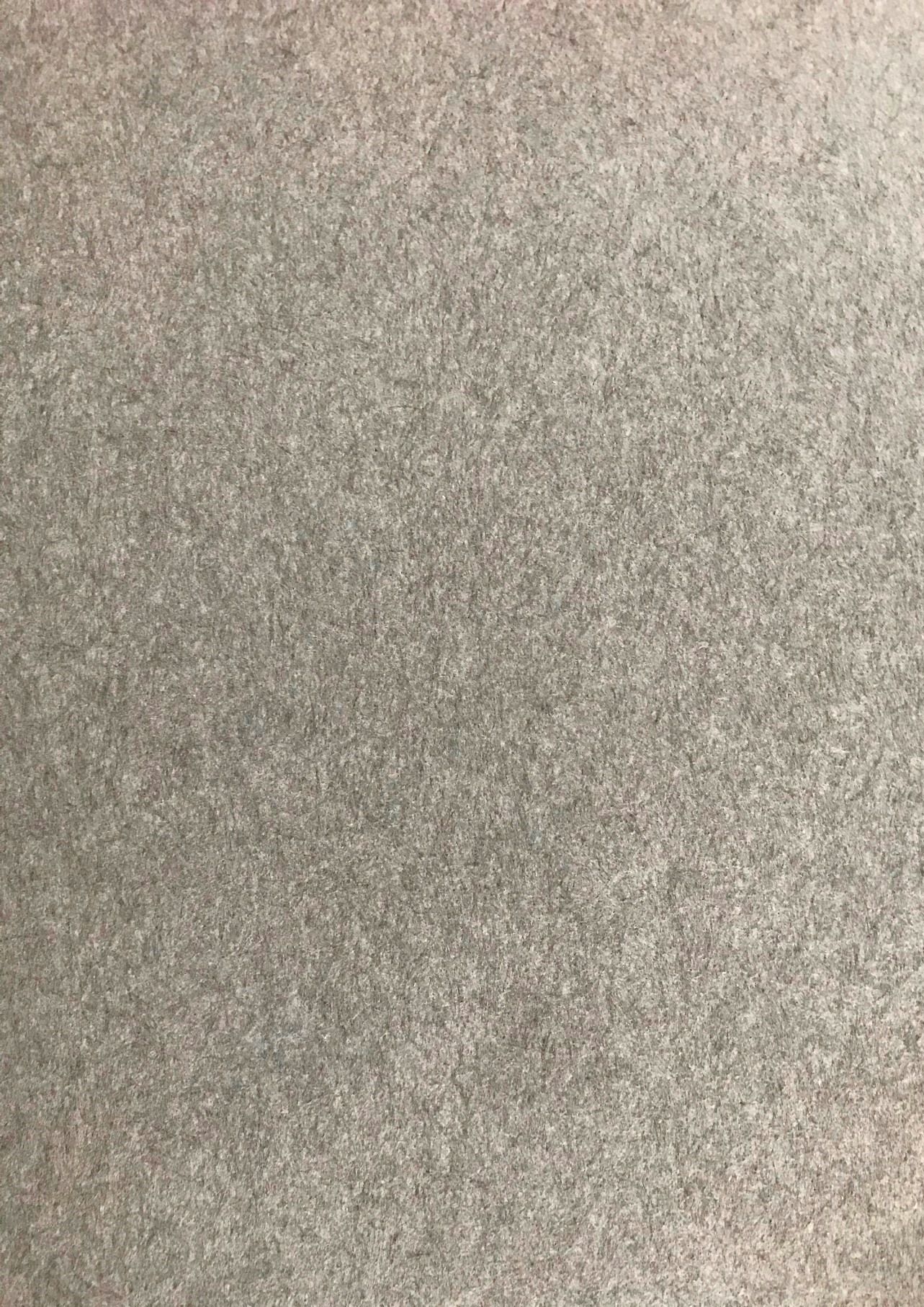 Guardia - Elektromagnetische Abschirmung