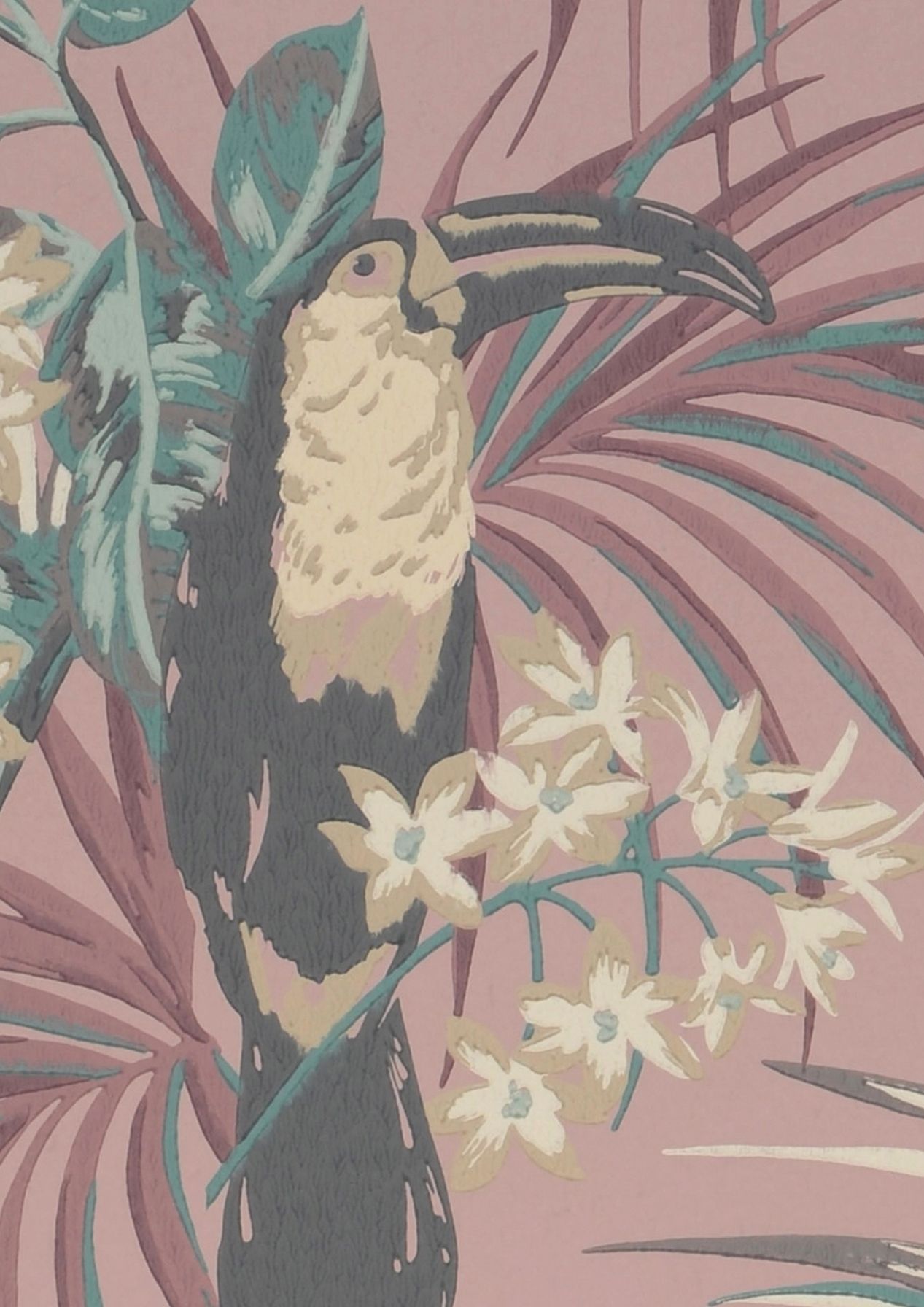 Toucan Jungle