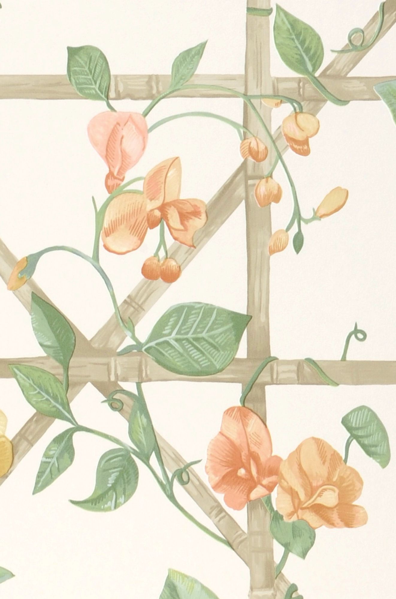Sweetpea Trellis