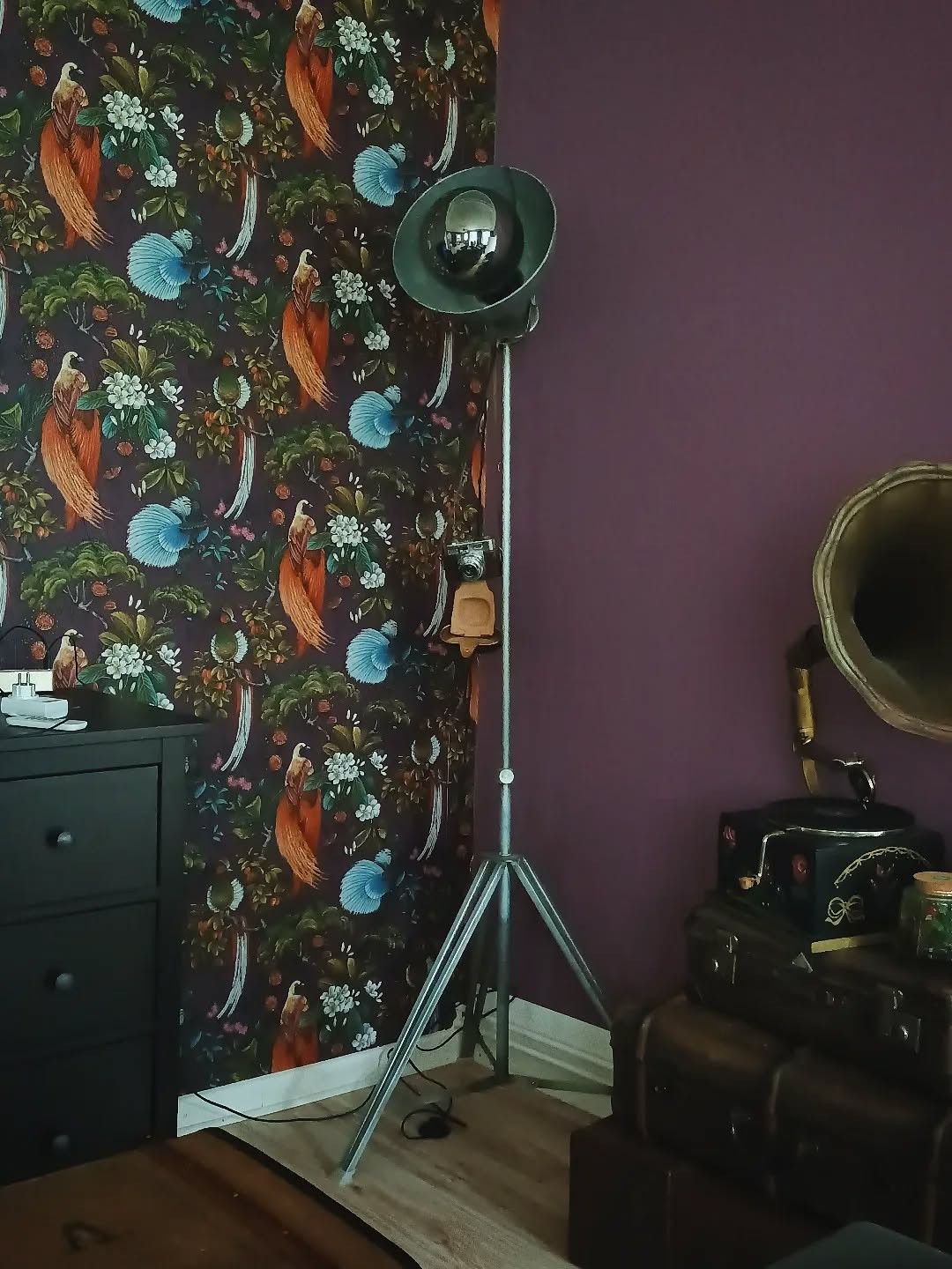 Zeit für Veränderung.\nZeit für ein neues Zuhause.\n\nIch hab mich sehr gefreut, das tapetender70er\