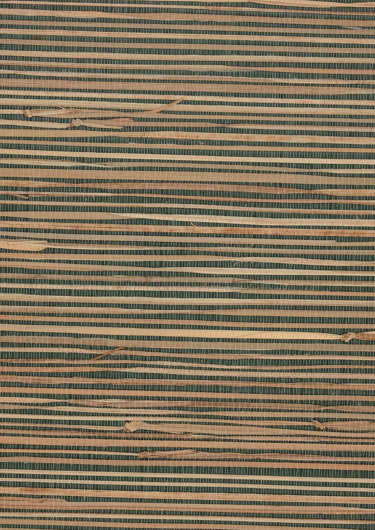 Grass on Roll 08