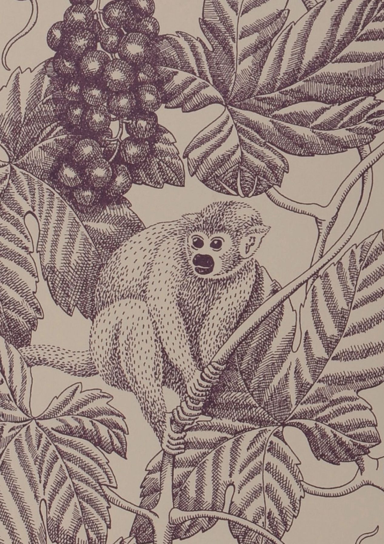 Grape Thief