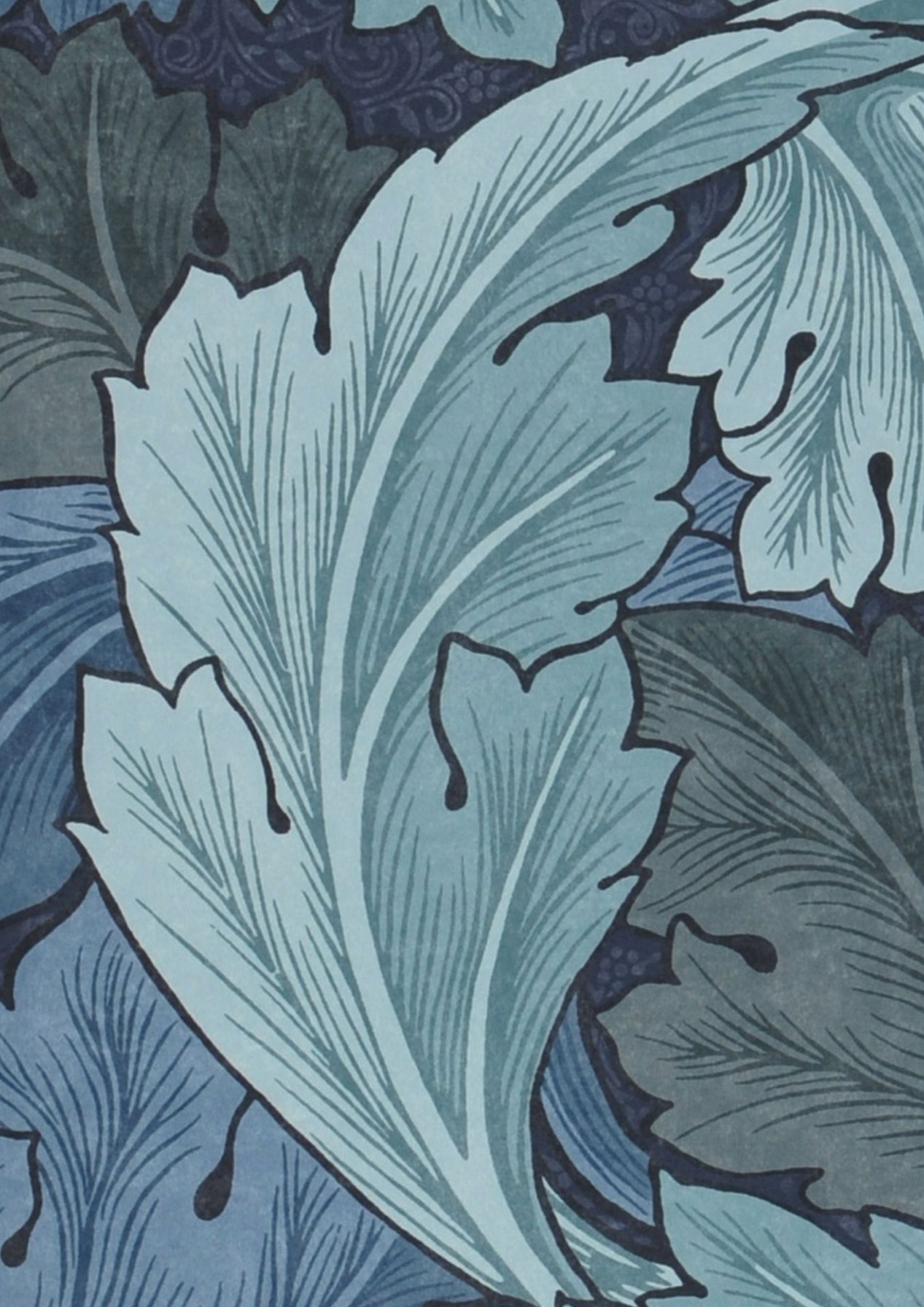 Acanthus