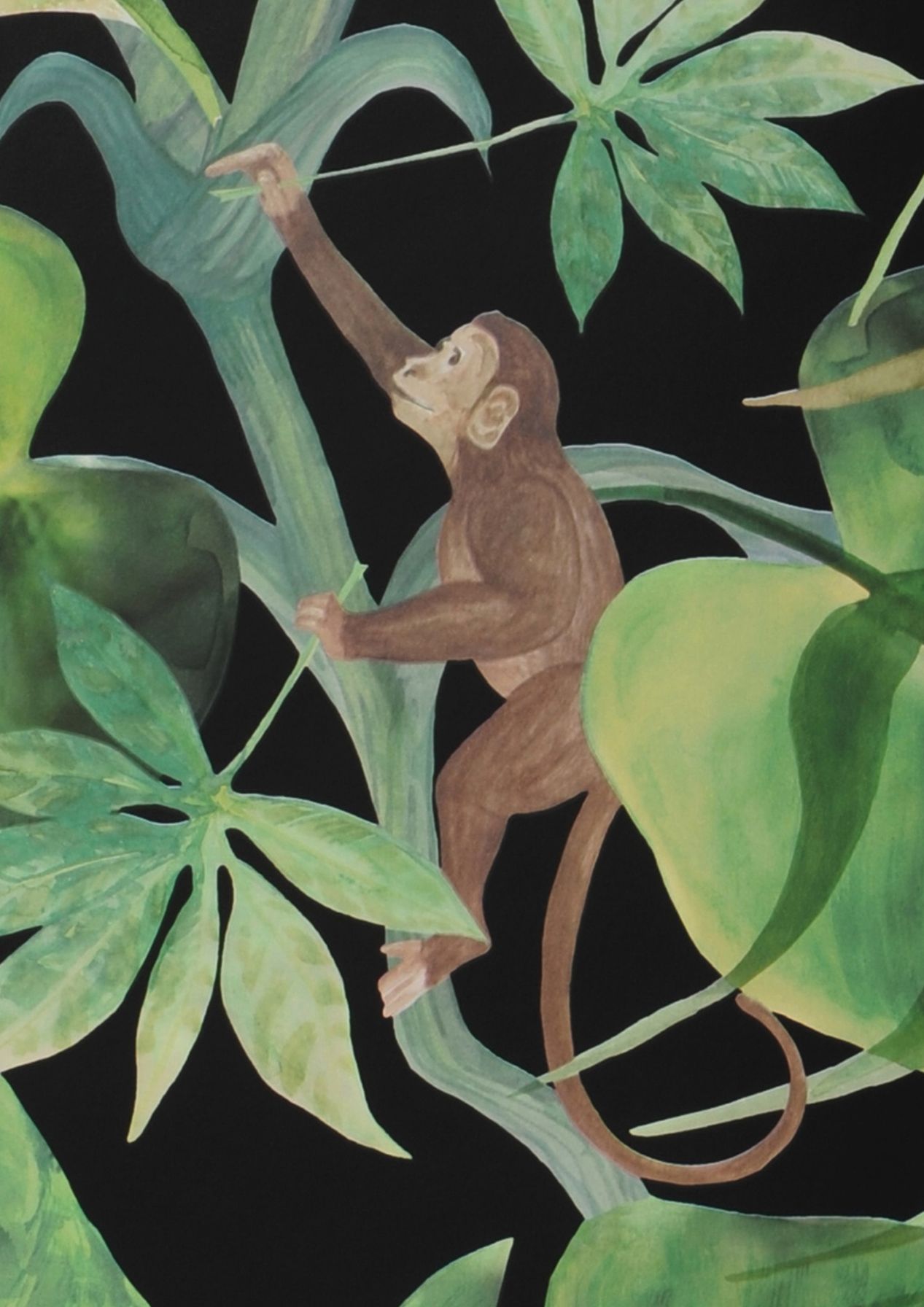 Jungle Jim