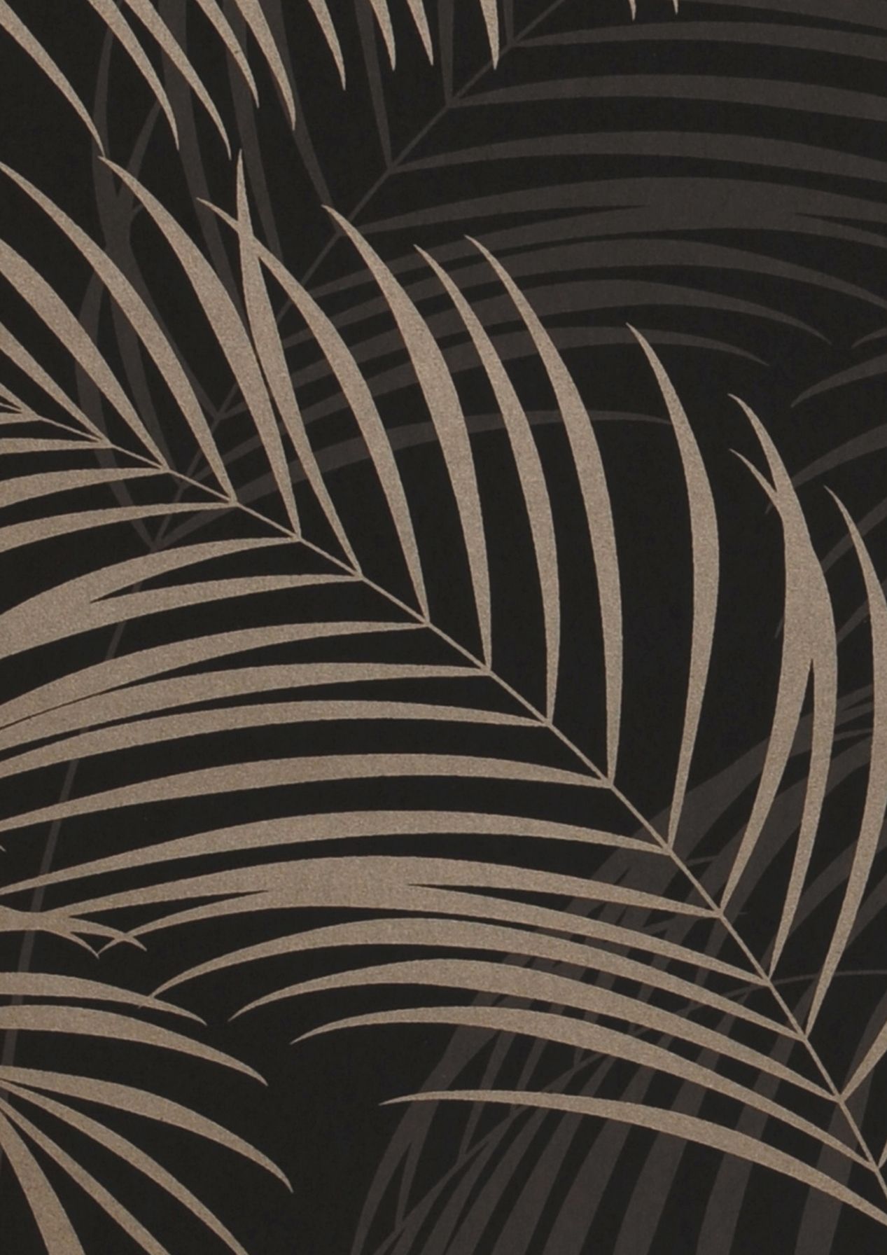 Night Palms