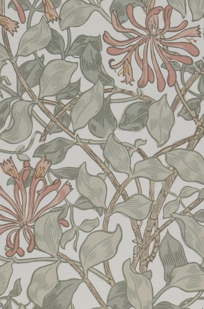 Honeysuckle Neo