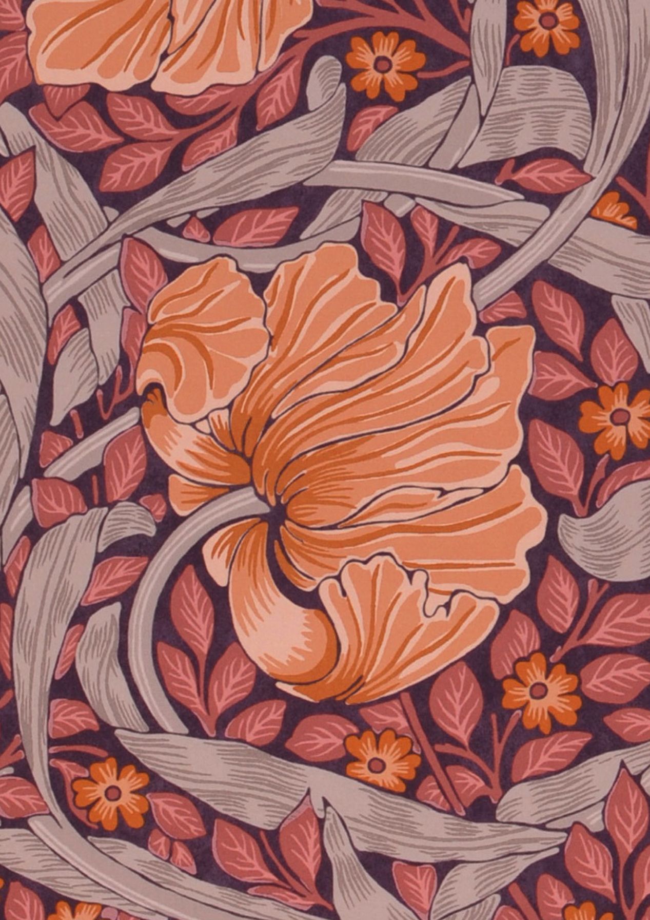 Pimpernel