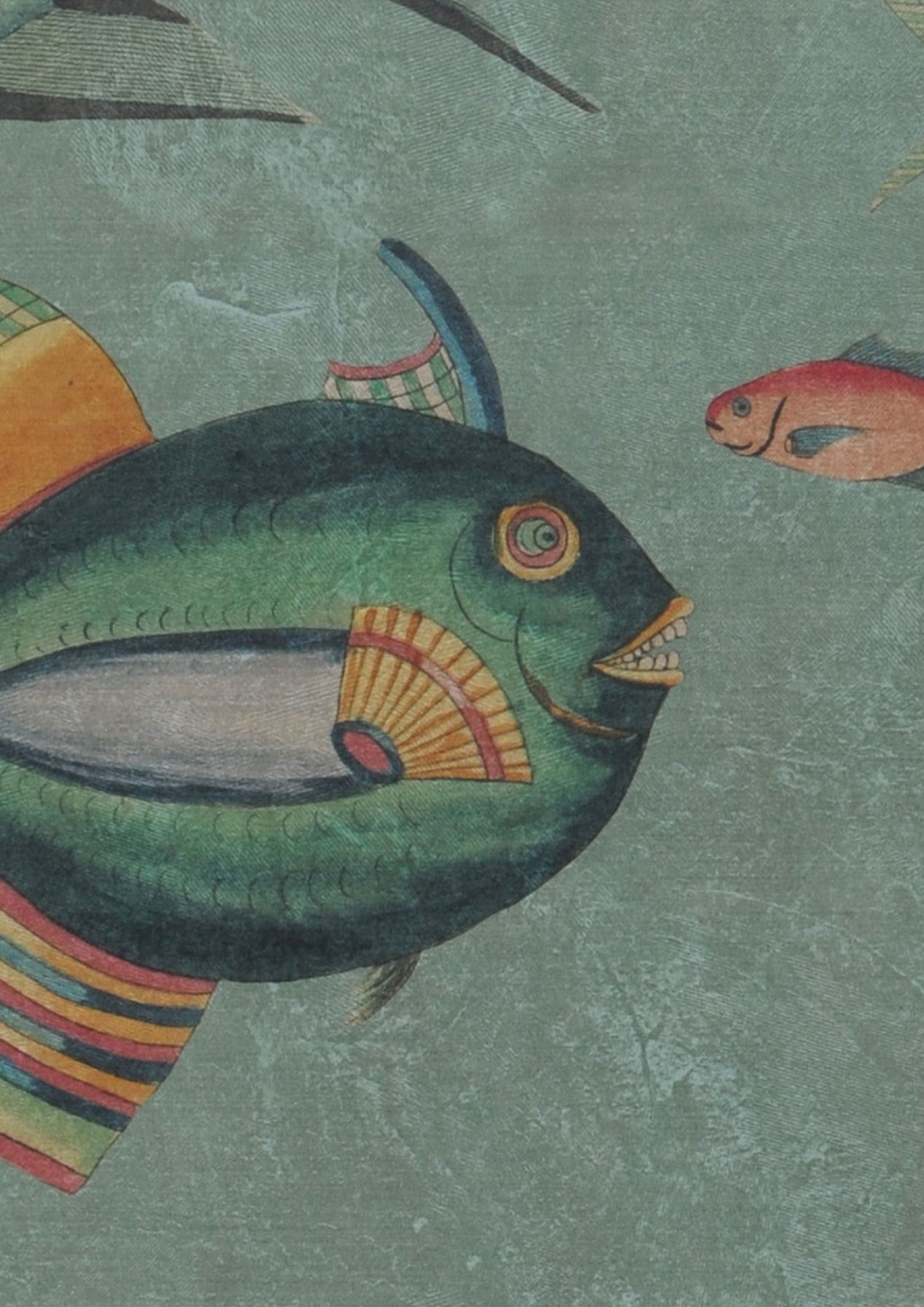 Poissons