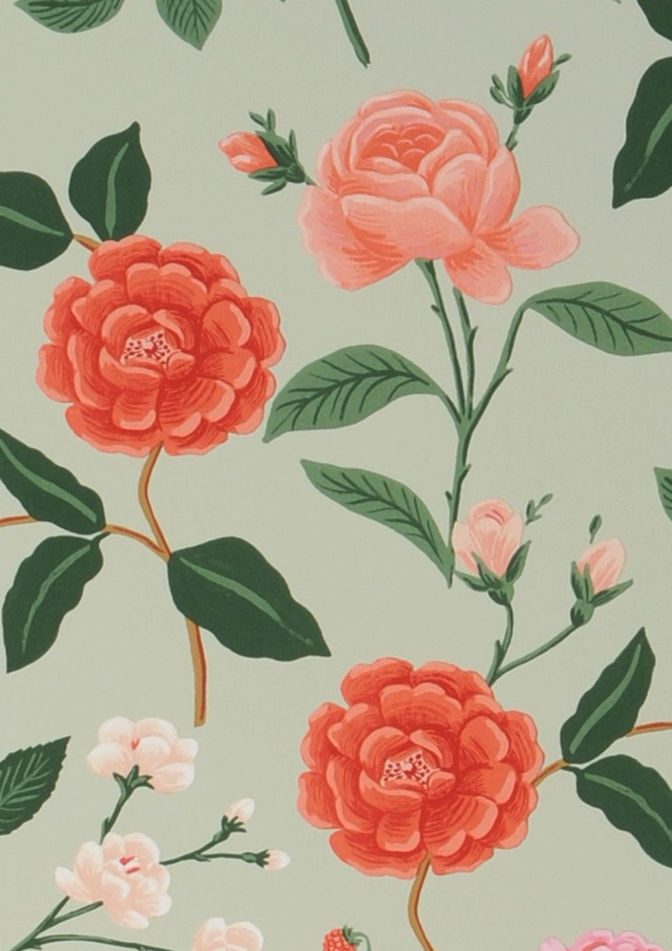Roses
