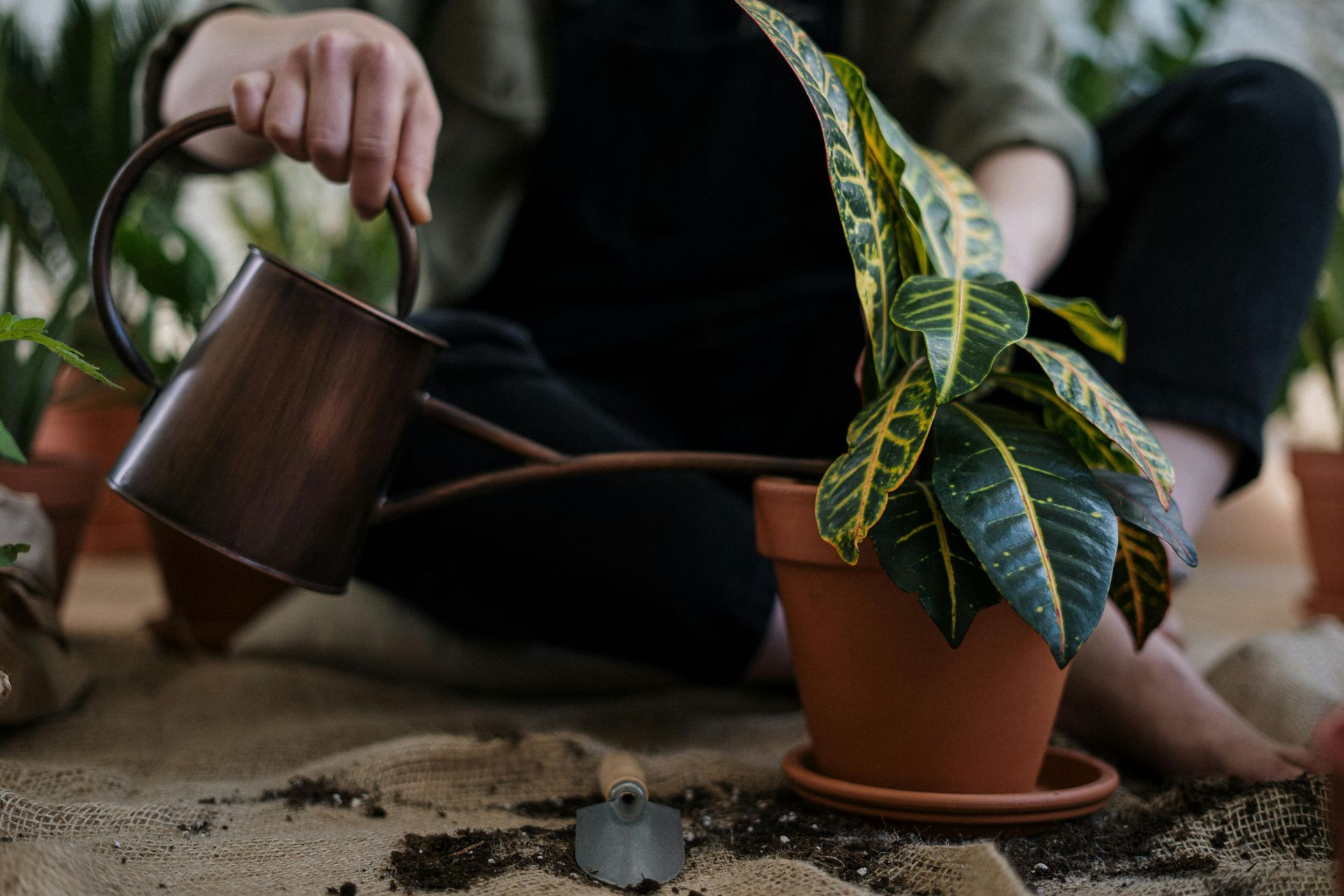 Gardening