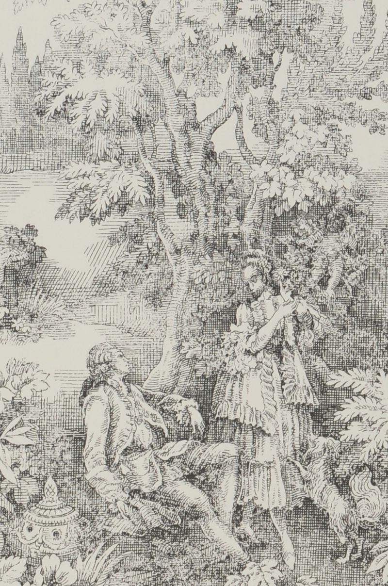 Countryside Tale