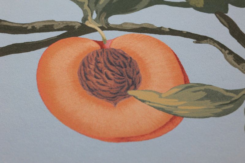 Detailansicht