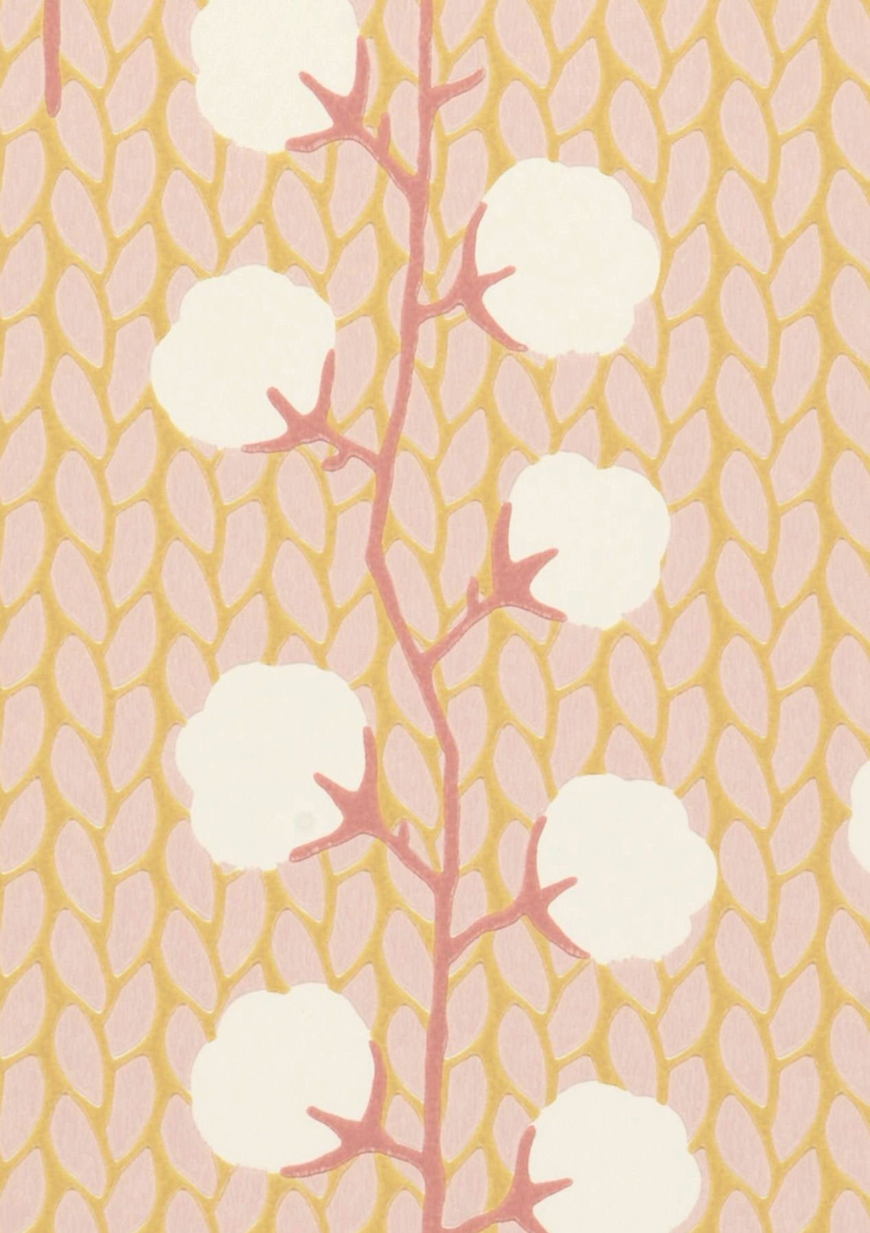 Sweet Cotton