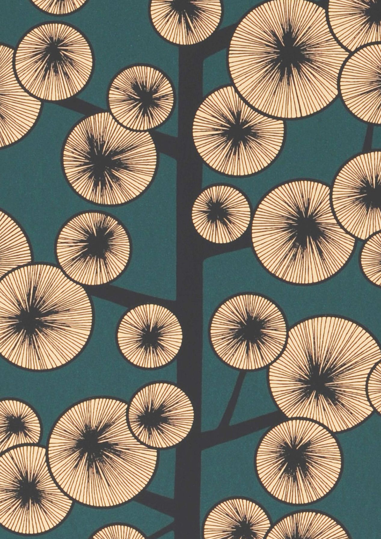 Cotton Tree