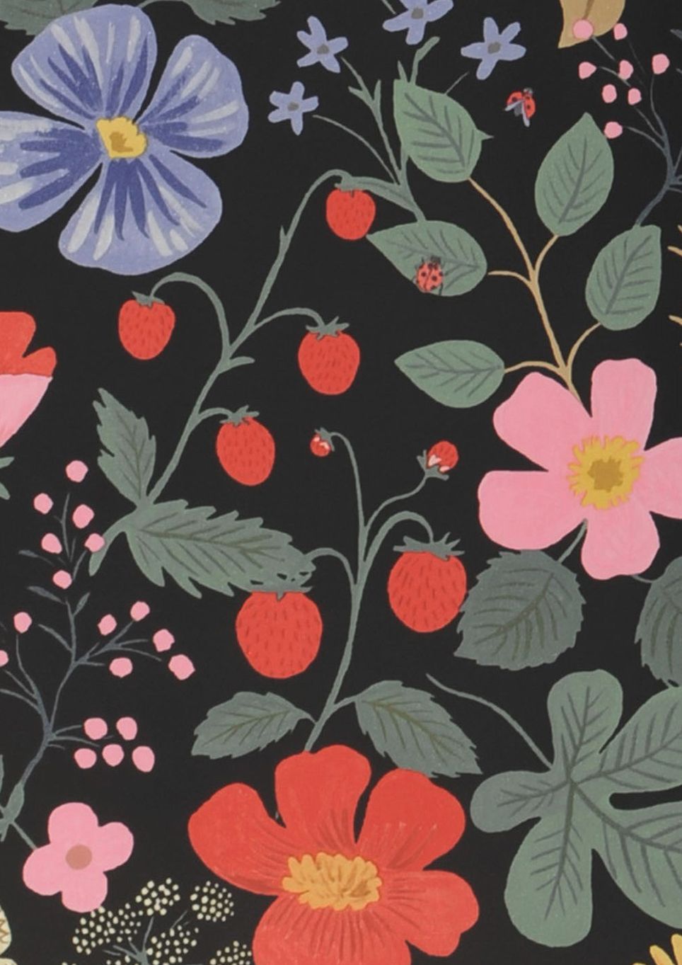 Strawberry Garden