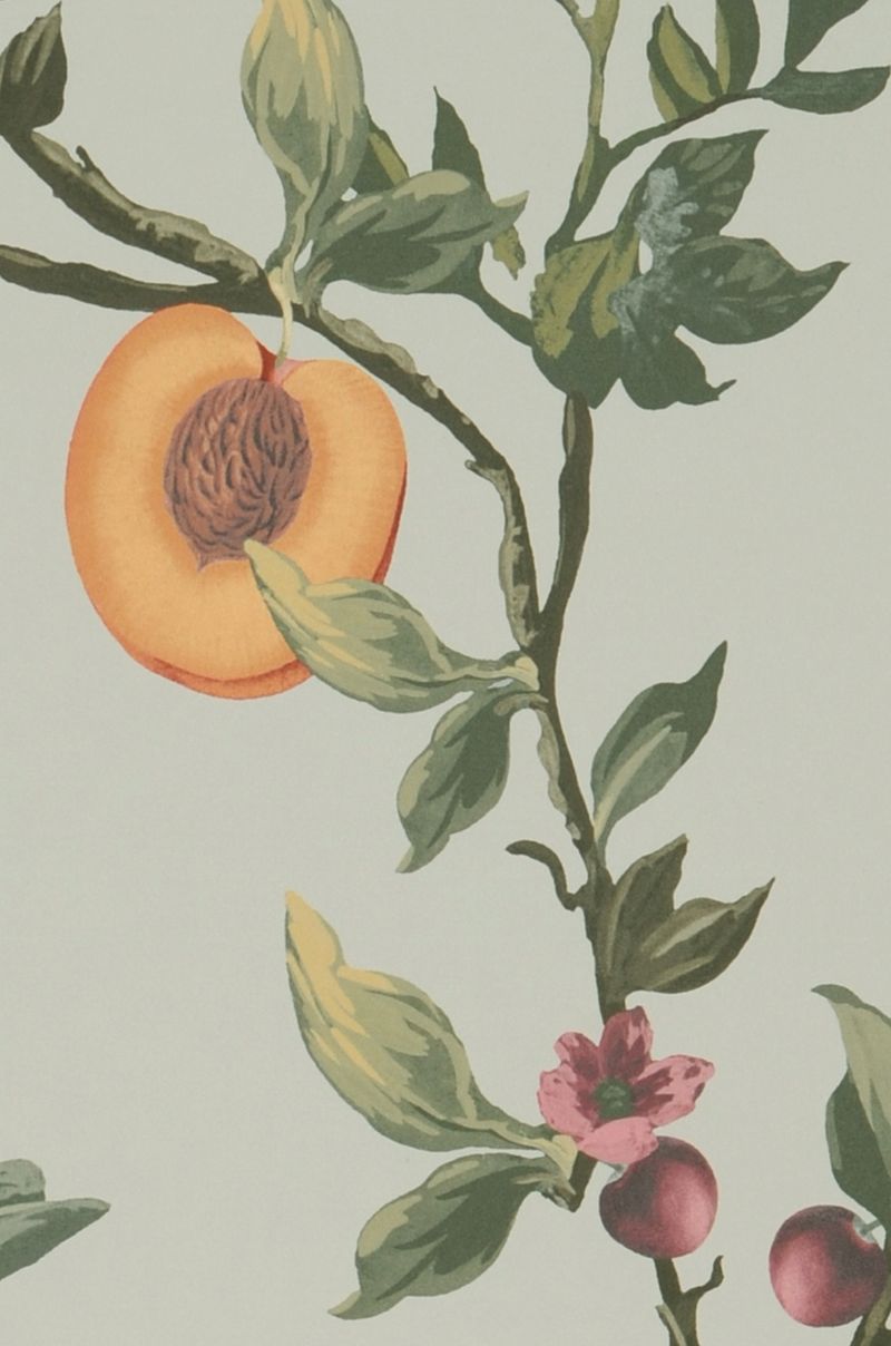 Peaches in Paradise