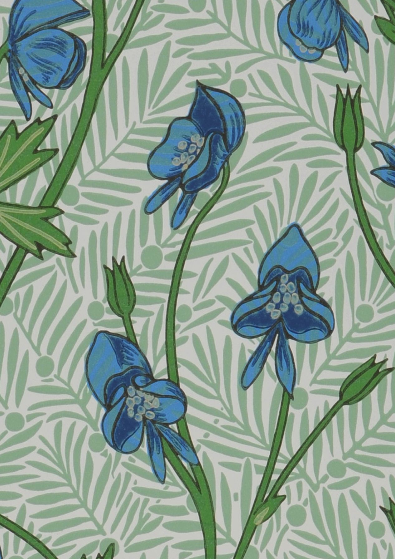 Monkshood