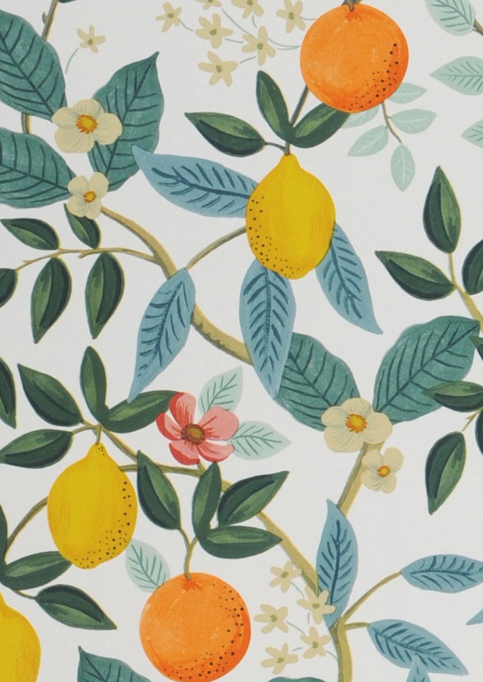 Citrus Grove
