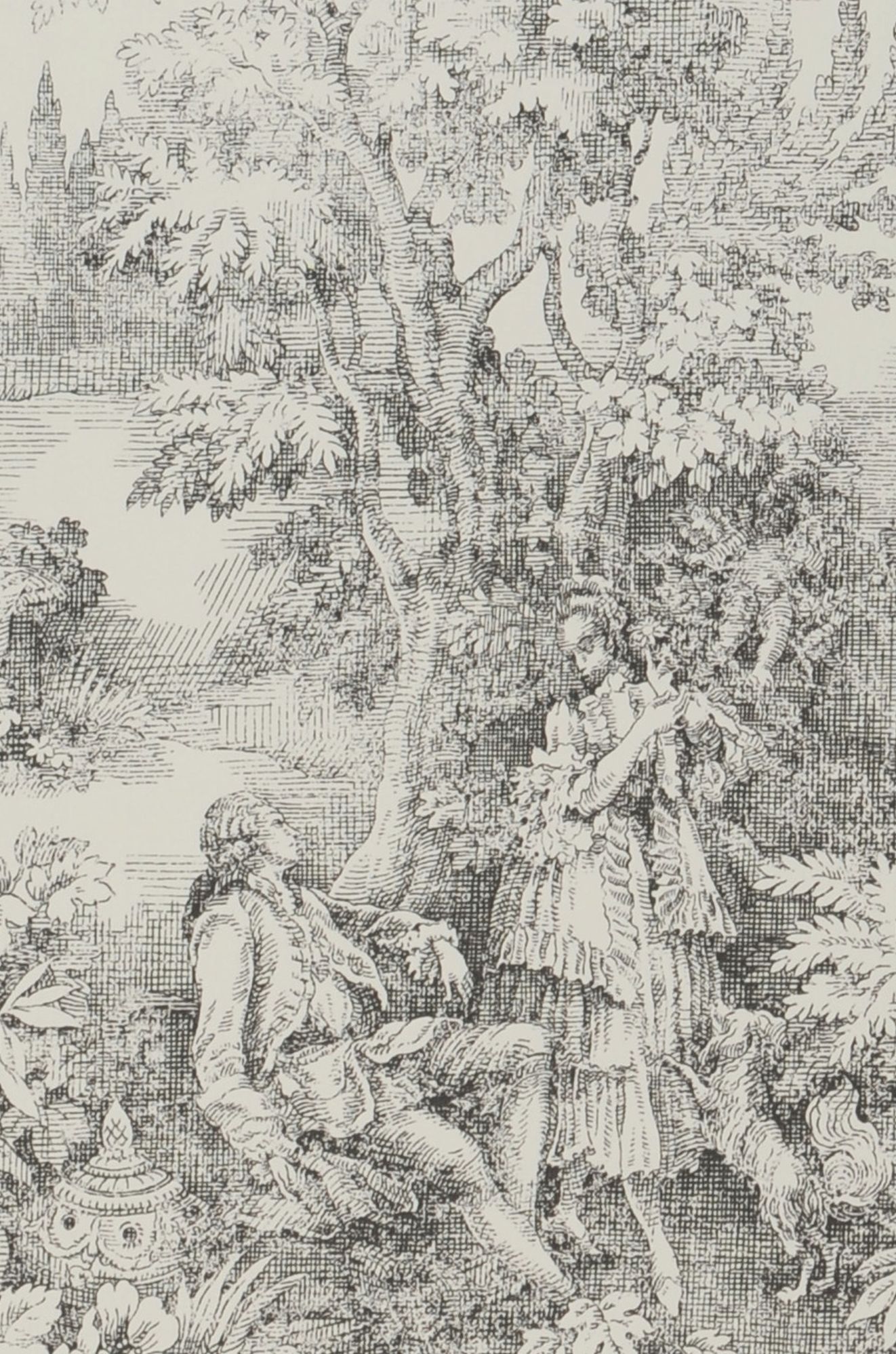 Countryside Tale
