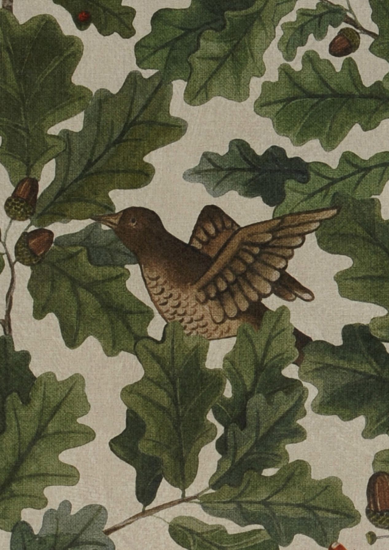 Carta da parati con foglie e fronde In the Oak