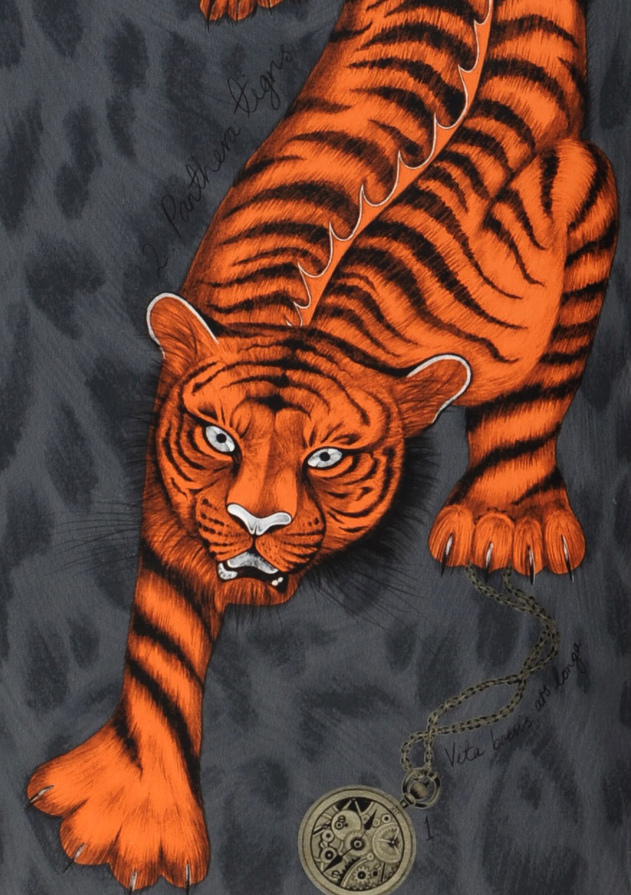 Tigris