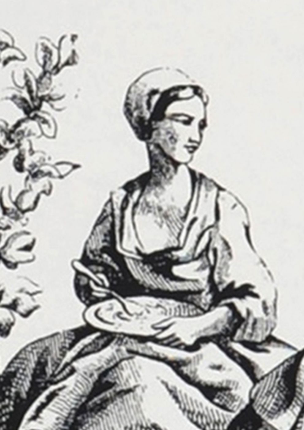 Toile de Jouy