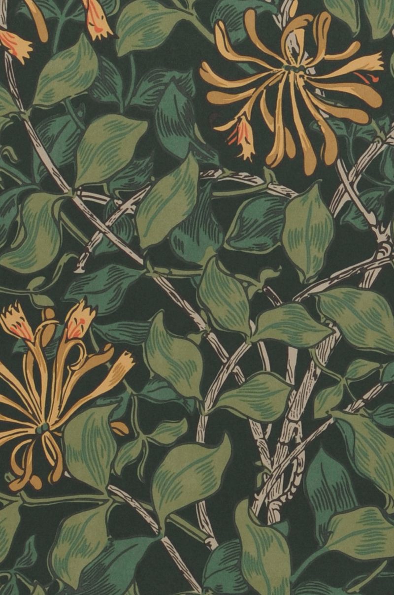 Honeysuckle Neo