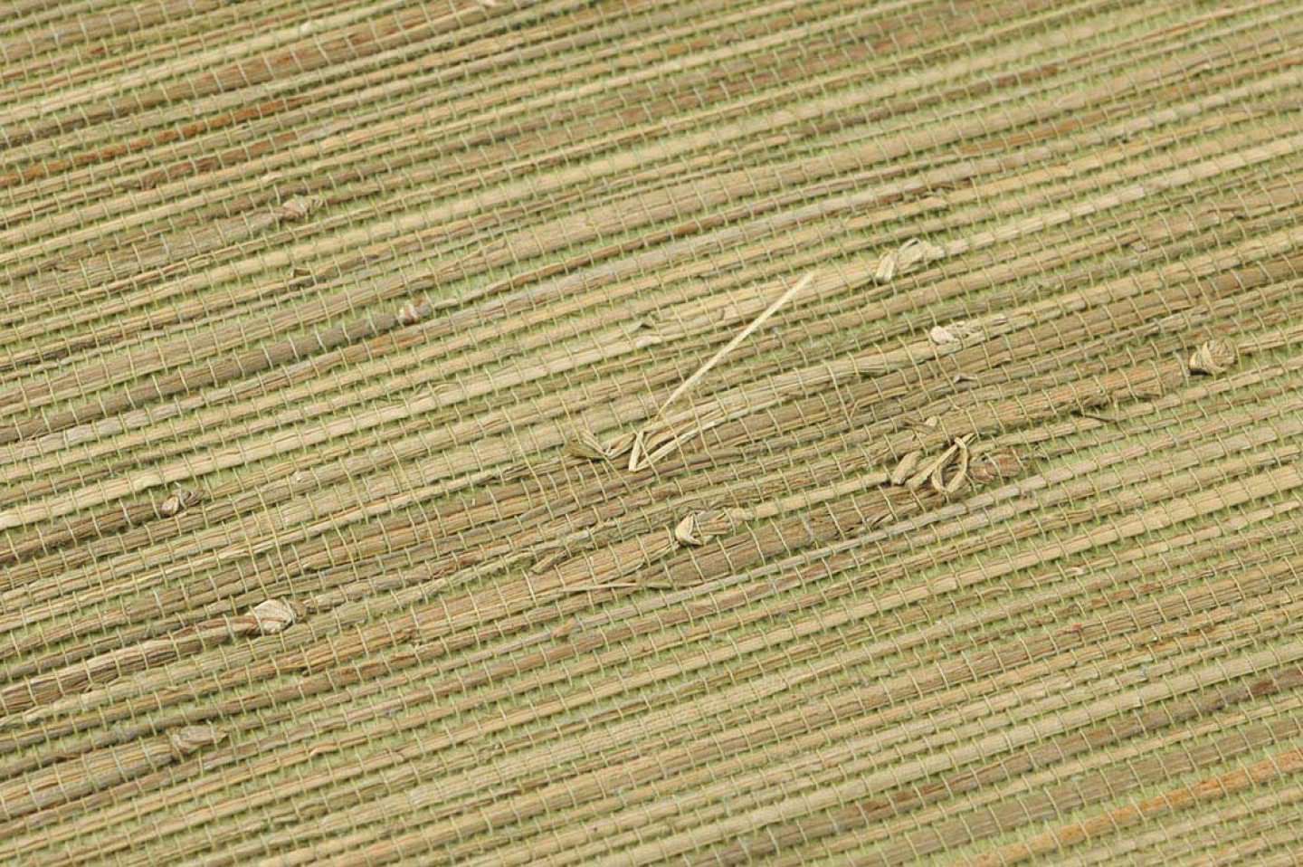 250261-1_grasscloth-015a7320f8ea46d