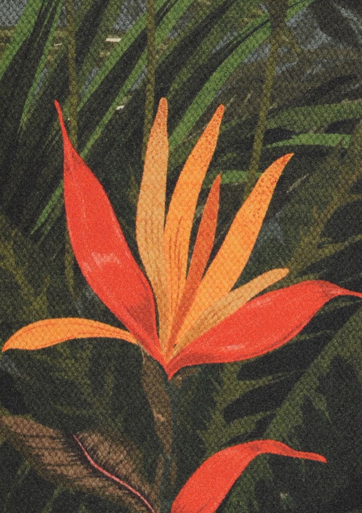 Jungle Kingdom