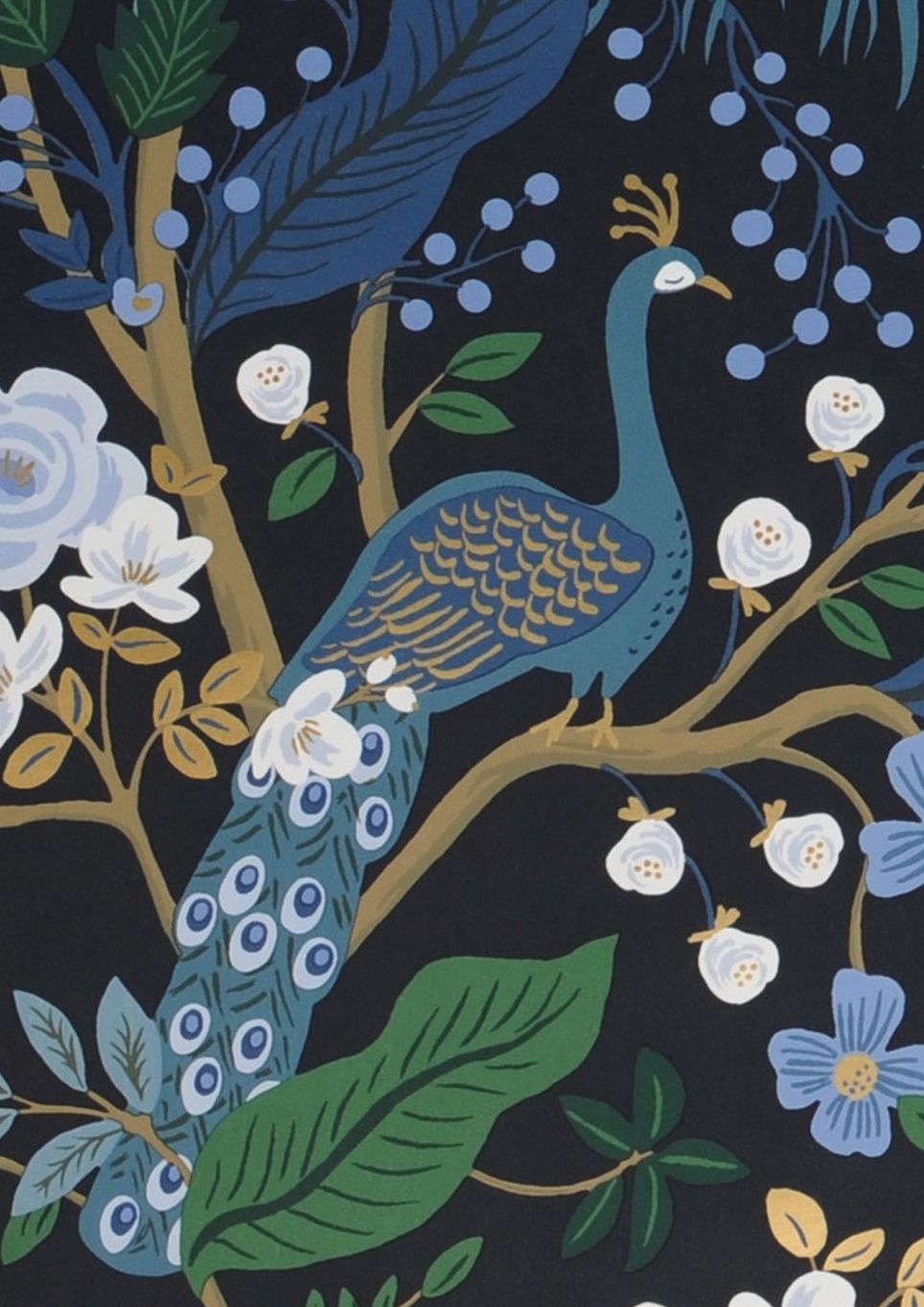 Peacock Tree