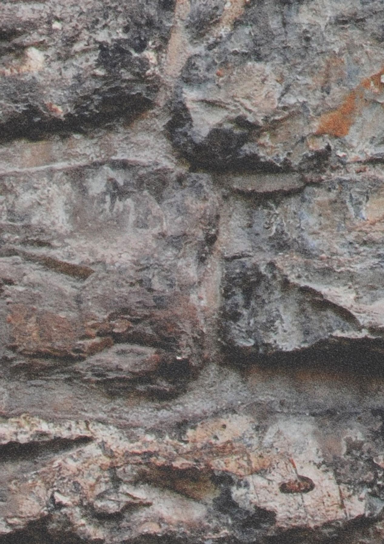 Rustic Stones