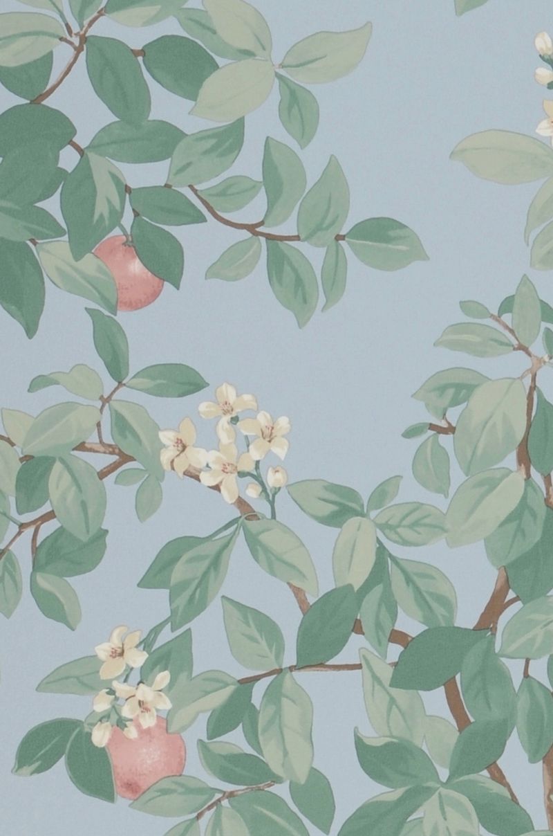 Orange Grove