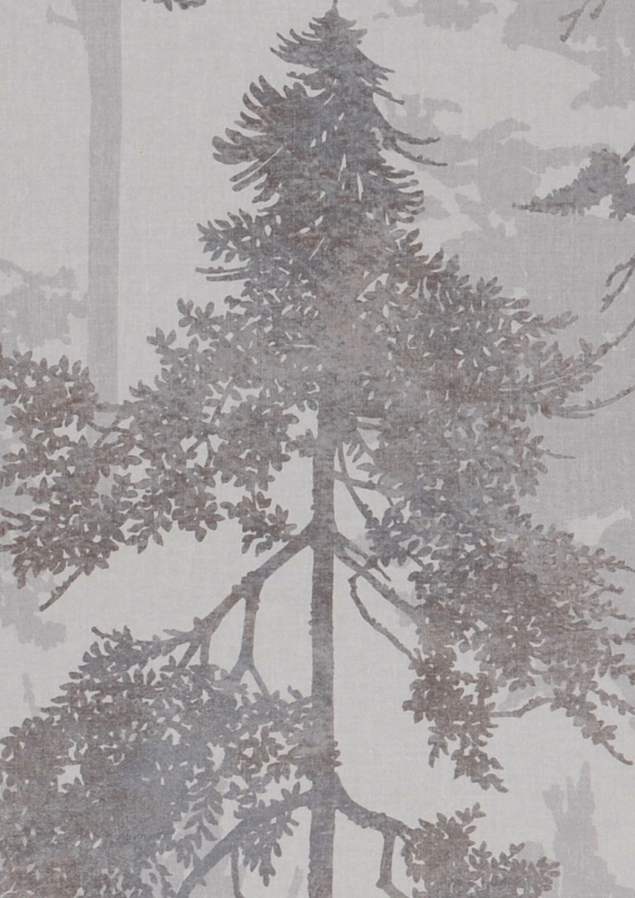 Forest Bathing