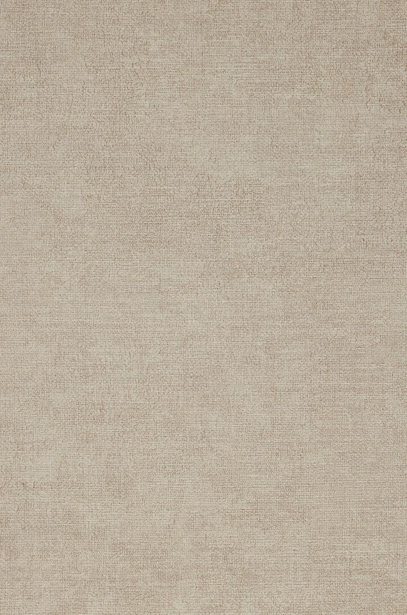 Brushed Canvas