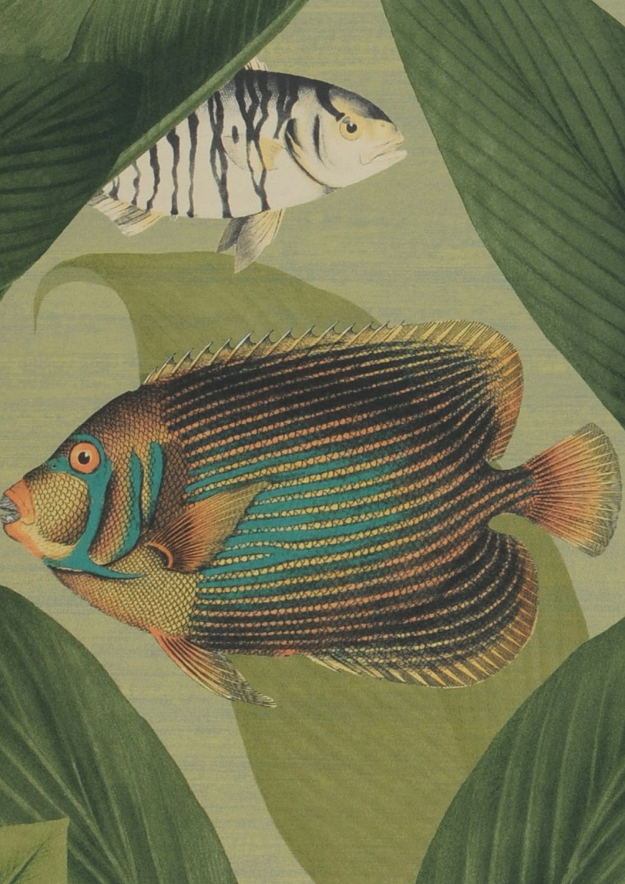 Acuario