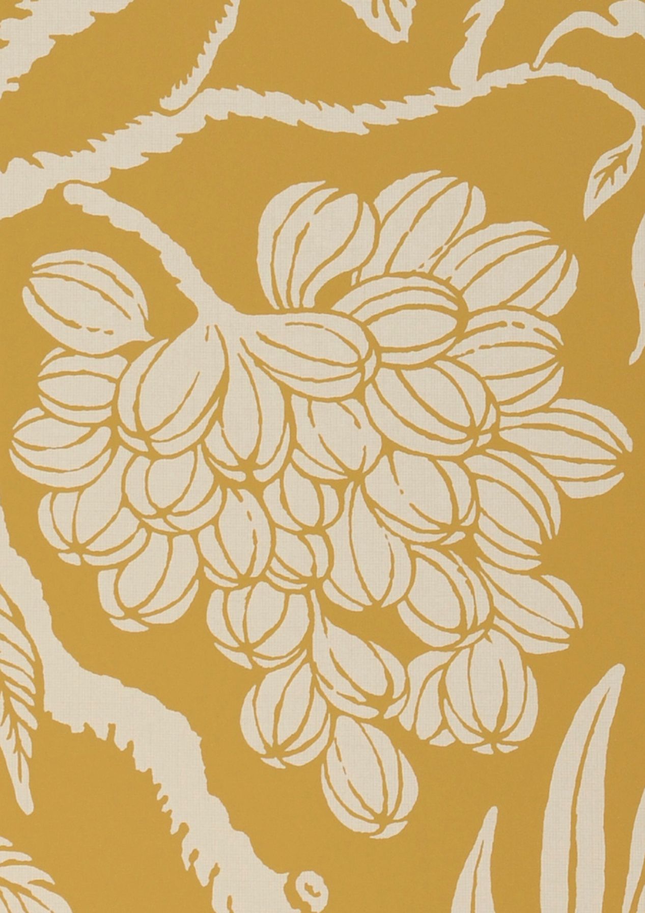 Cornucopia