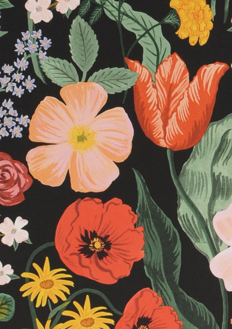 Rifle Blossom