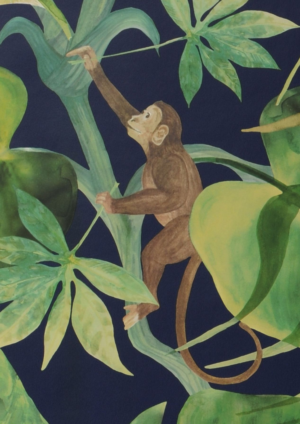 Jungle Jim