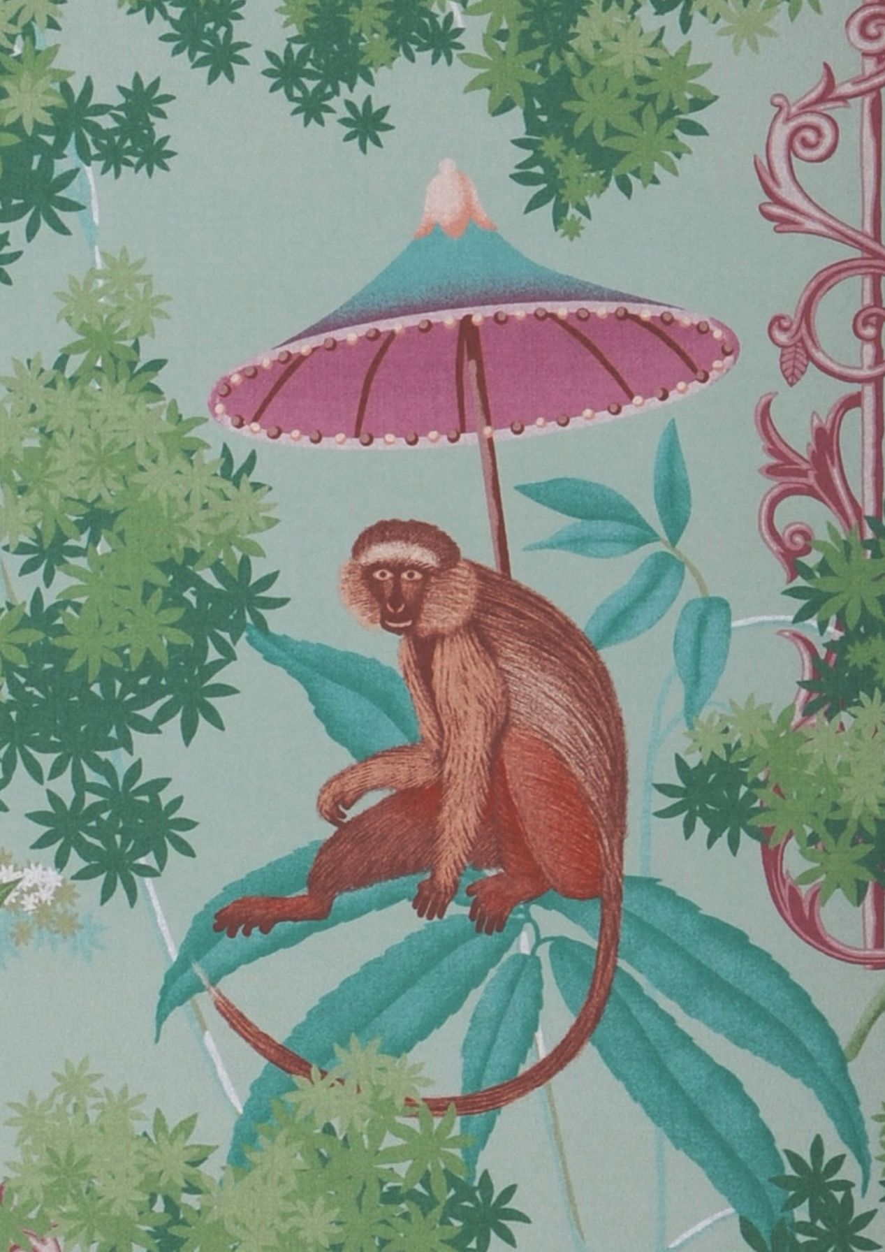 Curious Jungle