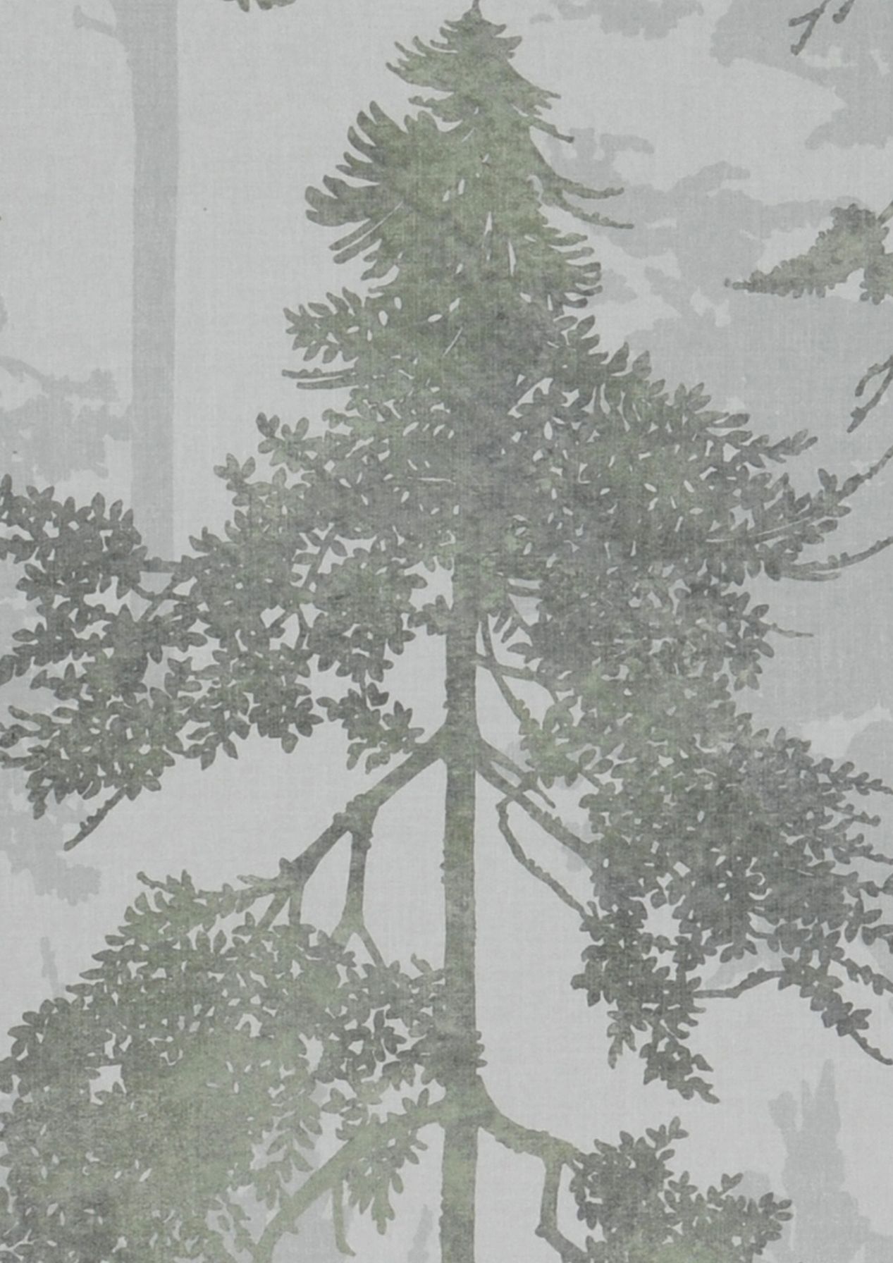 Forest Bathing