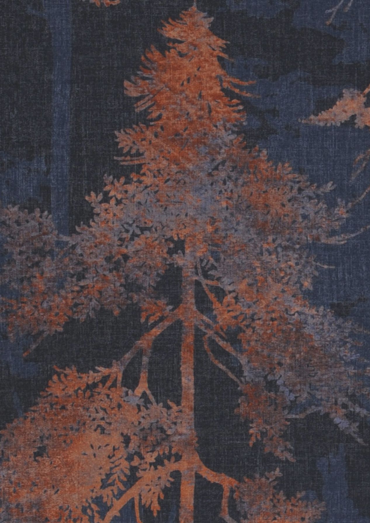 Forest Bathing