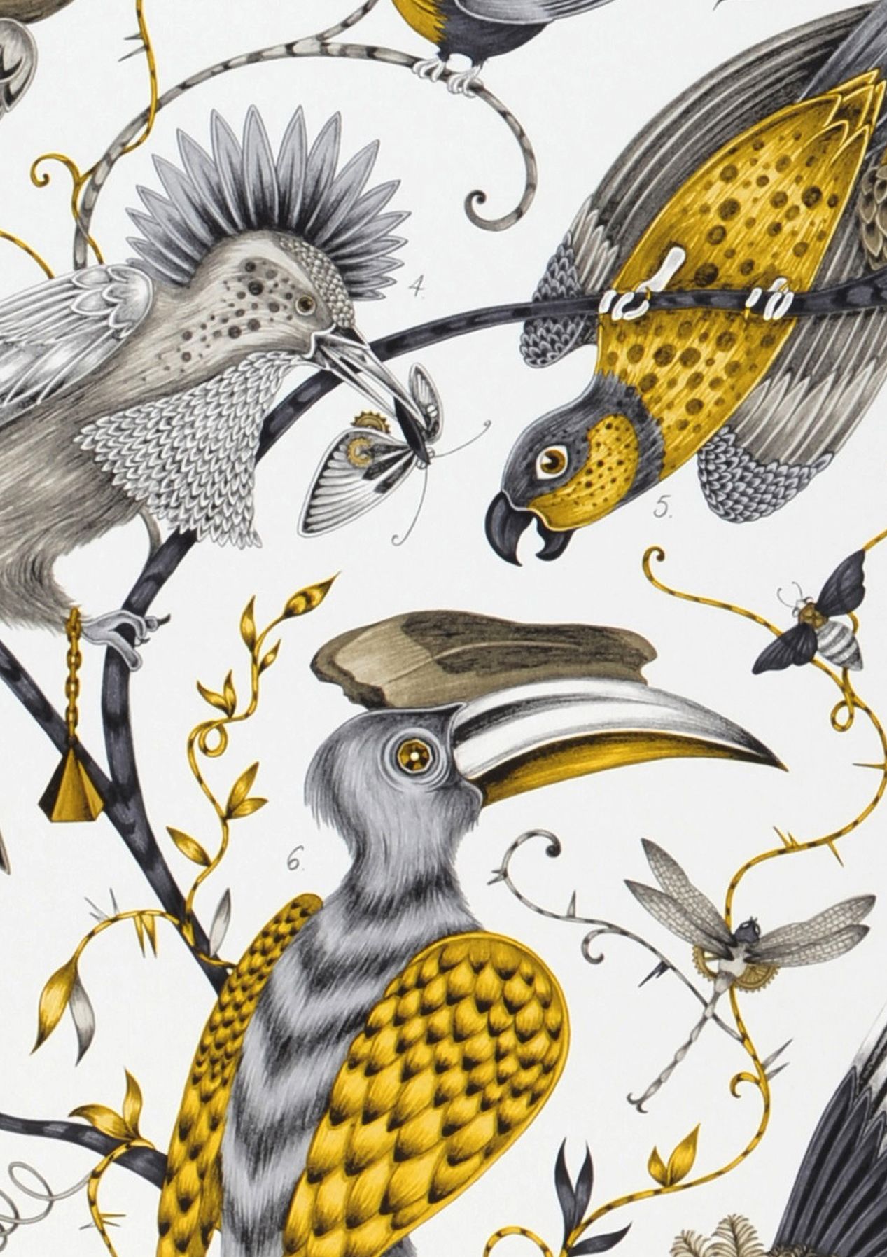 Audubon