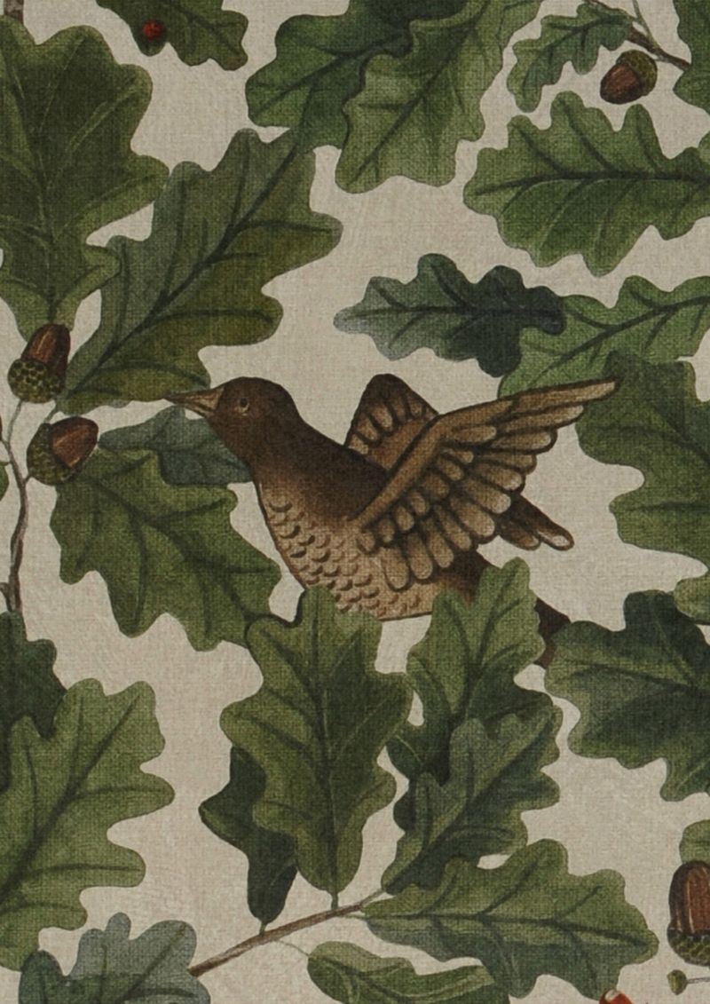 Carta da parati con foglie e fronde In the Oak