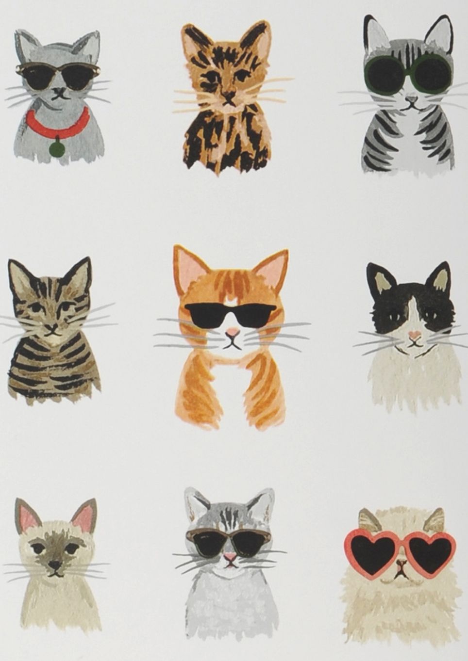 Cool Cats