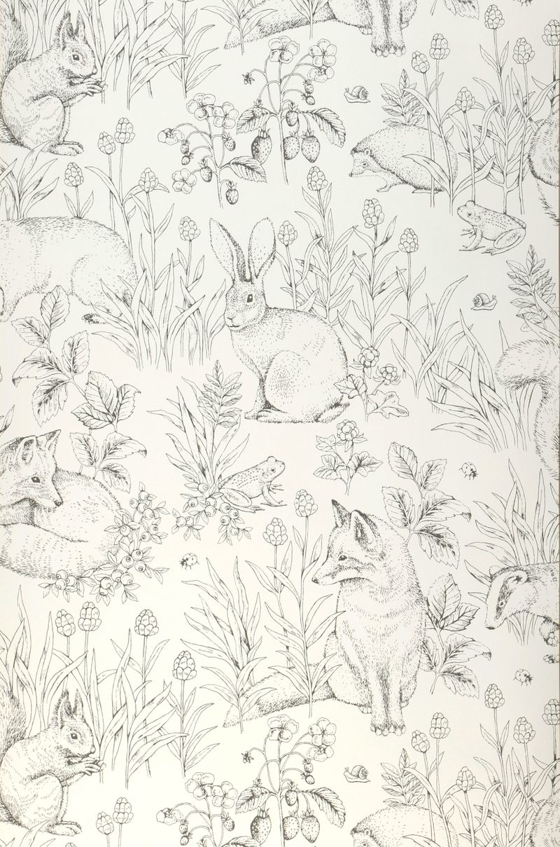 Bahnbreite