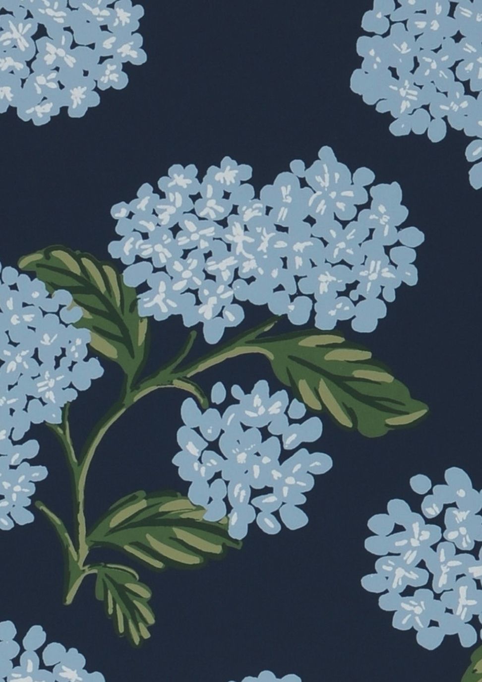 Hydrangea
